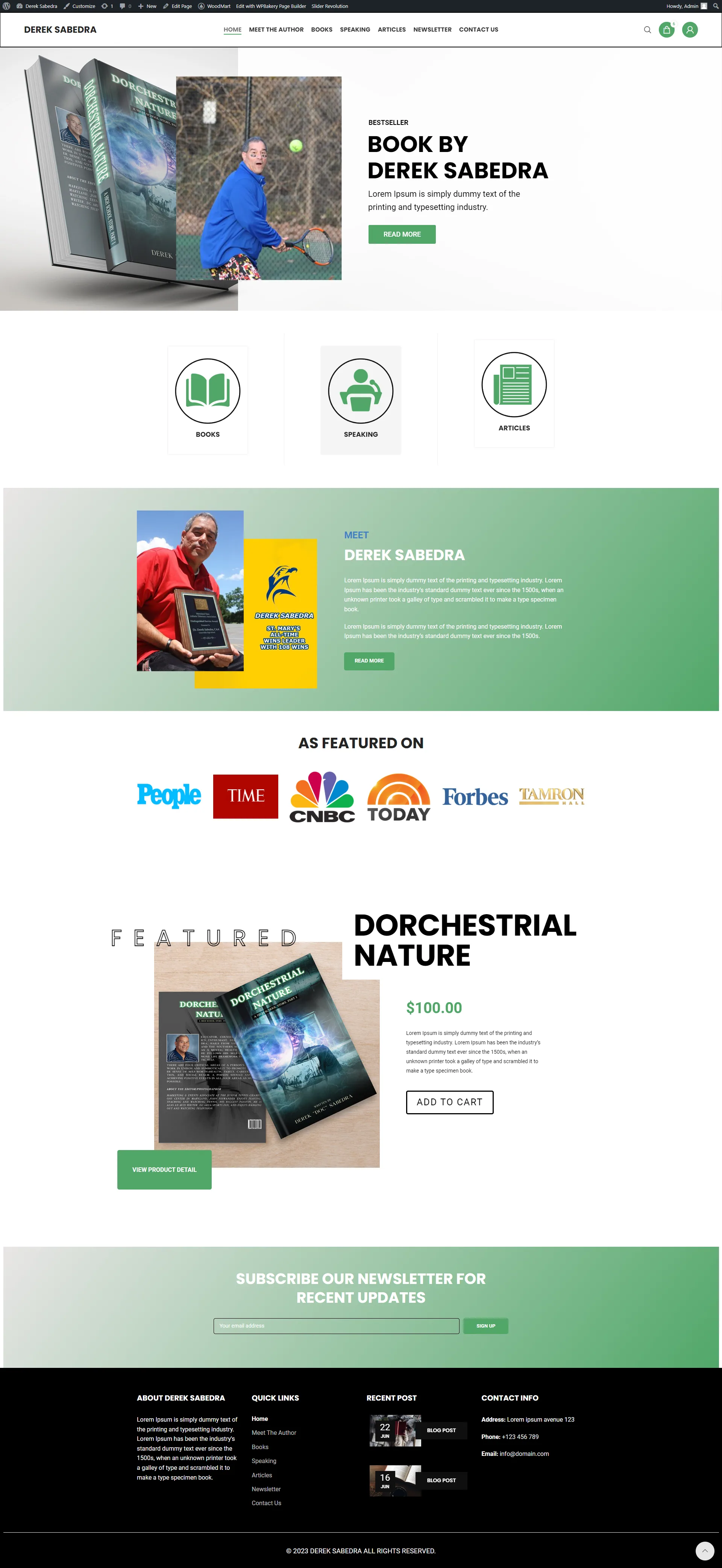 Derek Sabedra website design