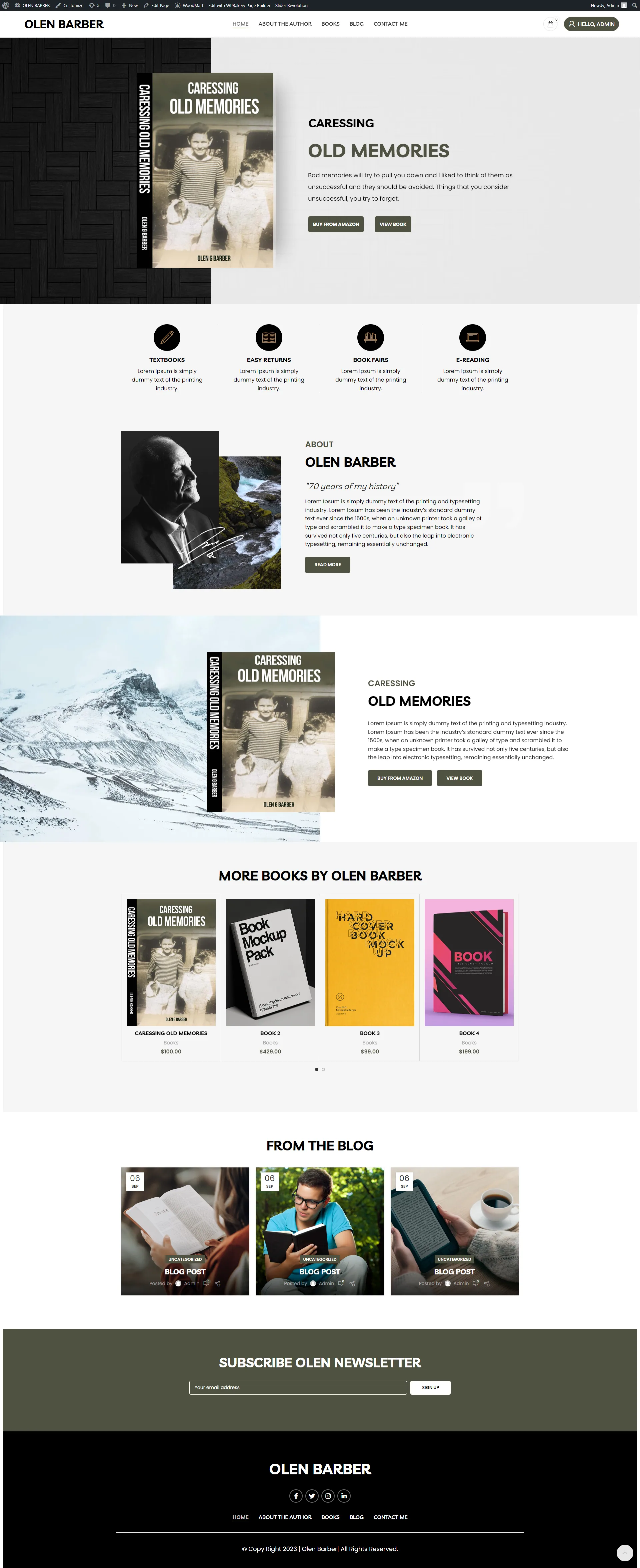 Olen website design