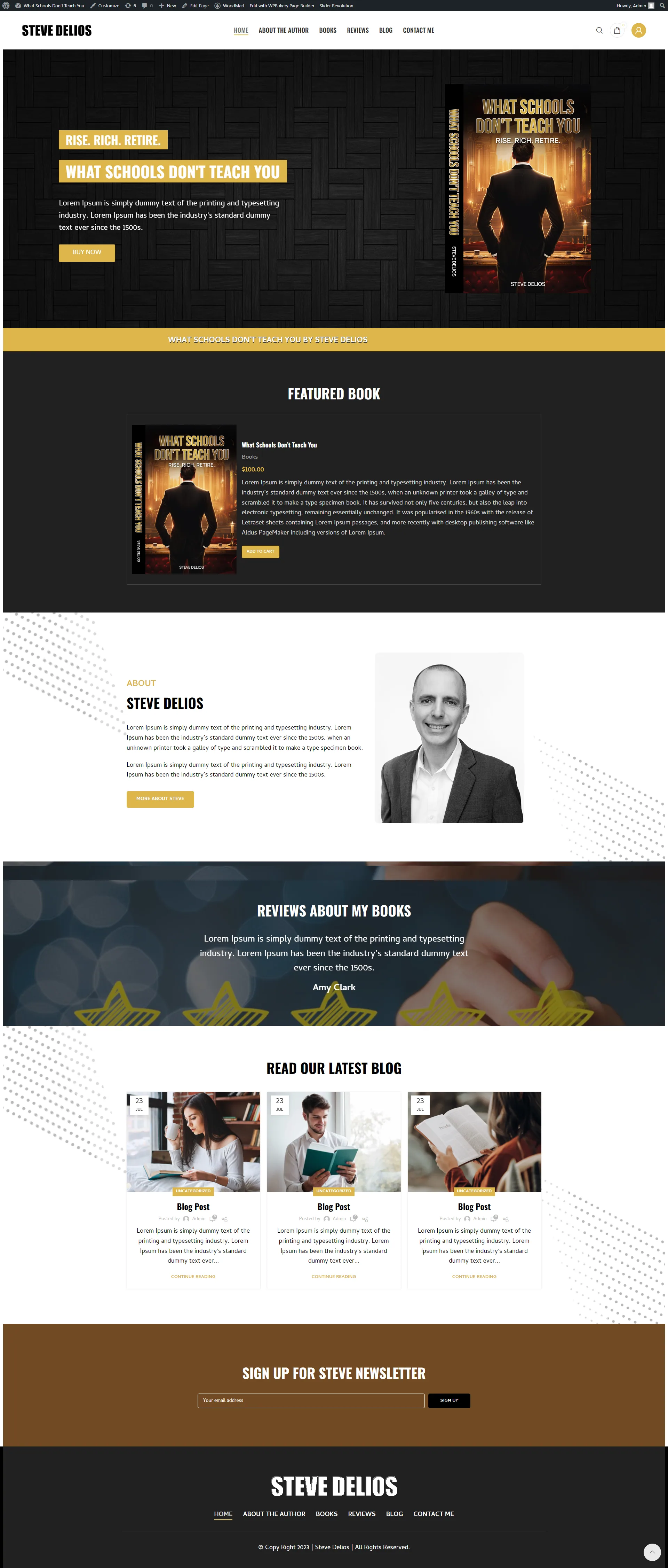 Steve Delios website design