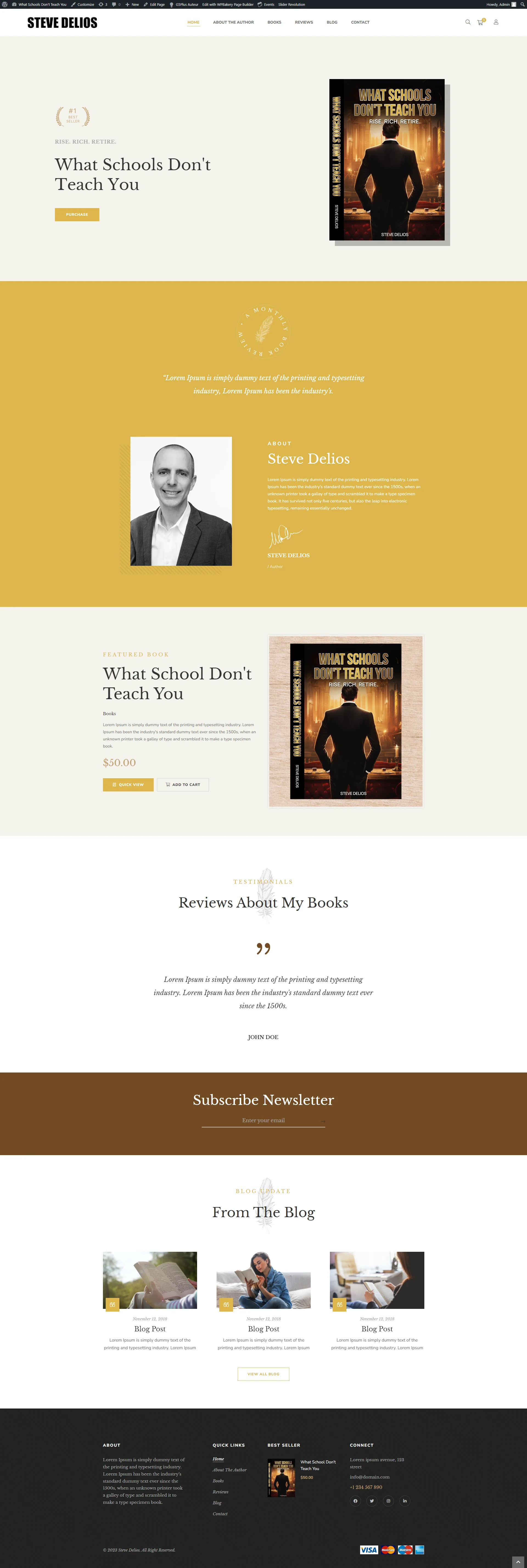 Steve Delios website design
